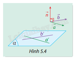 Giải mục 1 trang 41, 42, 43 SGK Toán 12 tập 2 - Cùng khám phá 3