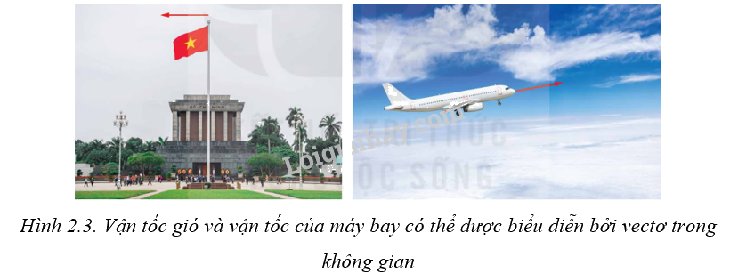Giải mục 1 trang 46,47,48 SGK Toán 12 tập 1 - Kết nối tri thức 2