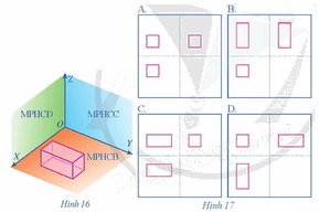 Giải mục 1 trang 50, 51, 52, 53, 54, 55, 56, 57 Chuyên đề học tập Toán 11 - Cánh diều 9