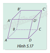 Giải mục 1 trang 54, 55, 56, 57, 58, 59 SGK Toán 12 tập 2 - Cùng khám phá 0 1