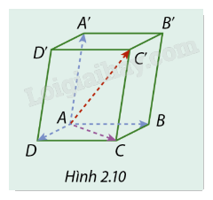 Giải mục 1 trang 55, 56, 57, 58 SGK Toán 12 tập 1 - Cùng khám phá 4 1