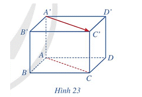 Giải mục 1 trang 65, 66, 67, 68, 69 SGK Toán 12 tập 2 - Cánh diều 1