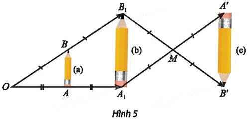 Giải mục 2 trang 39, 40 Chuyên đề học tập Toán 11 - Chân trời sáng tạo 1