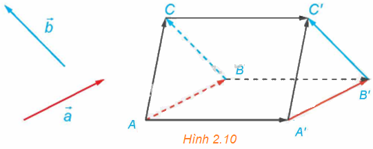 Giải mục 2 trang 49, 50, 51 SGK Toán 12 tập 1 - Kết nối tri thức 1