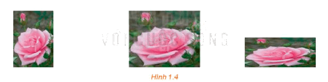 Giải mục 2 trang 6, 7, 8 Chuyên đề học tập Toán 11 - Kết nối tri thức 1